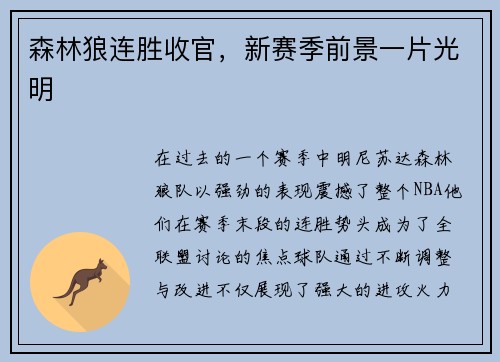 森林狼连胜收官，新赛季前景一片光明