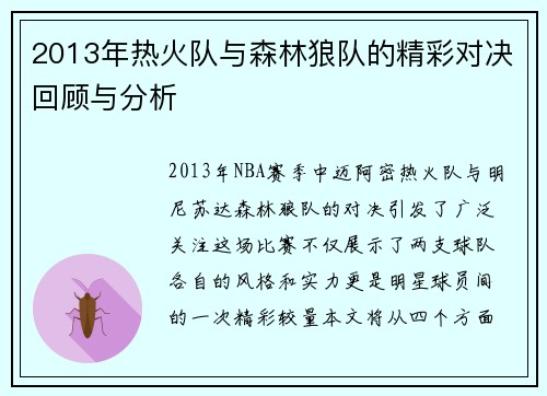 2013年热火队与森林狼队的精彩对决回顾与分析